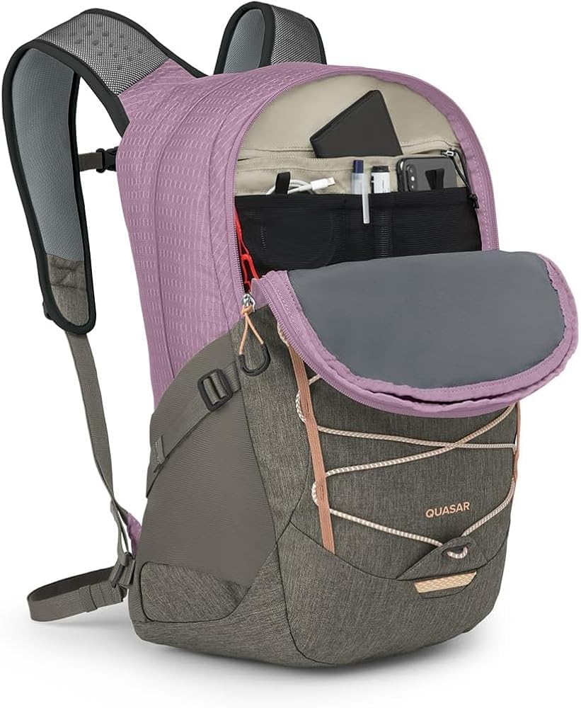 カオパオシュウ　リュック Amazon.com : Osprey Quasar 26L Commuter Backpack, Pashmina